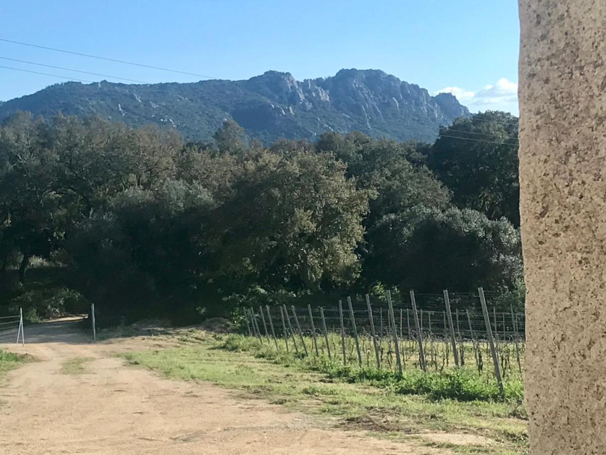 Elegant Country Open Space Deluxe Tenuta Piredu -Monti-Olbia Ngoại thất bức ảnh