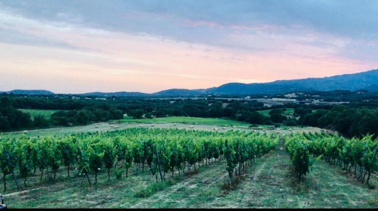 Elegant Country Open Space Deluxe Tenuta Piredu -Monti-Olbia Ngoại thất bức ảnh