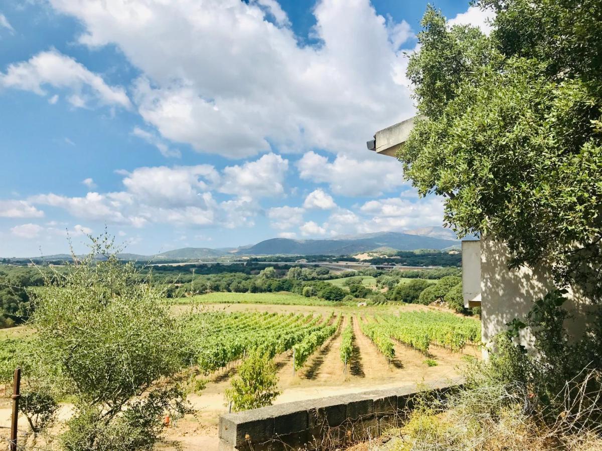 Elegant Country Open Space Deluxe Tenuta Piredu -Monti-Olbia Ngoại thất bức ảnh
