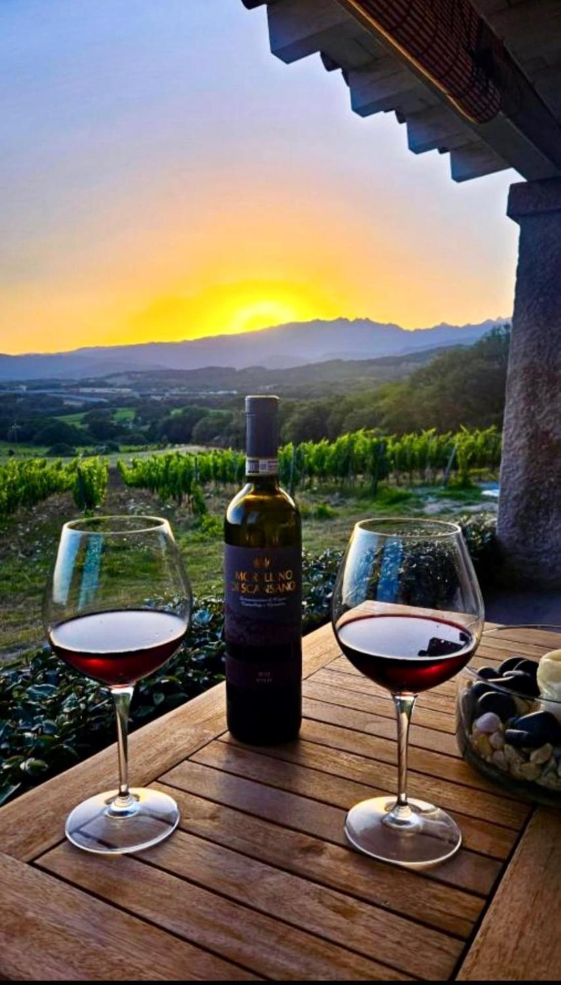 Elegant Country Open Space Deluxe Tenuta Piredu -Monti-Olbia Ngoại thất bức ảnh